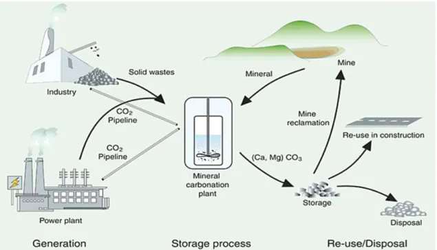 Fig. 2. A schematic of mineral carbonation process [18].