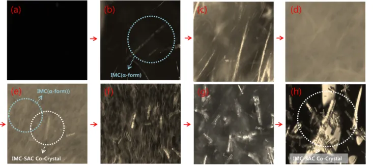 Fig. 10. PVM analysis with the passage of time of Exp 1 in reactor.