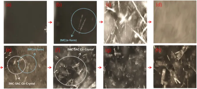 Fig. 12. PVM analysis with the passage of time of Exp 2 in reactor.