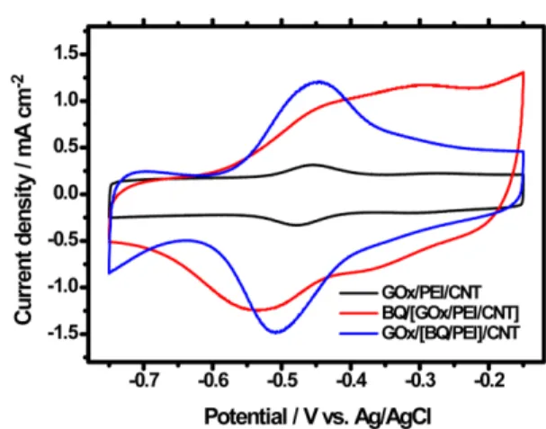 Fig. 2. Cyclic voltammograms of GOx/PEI/CNT, BQ/[GOx/PEI/CNT]