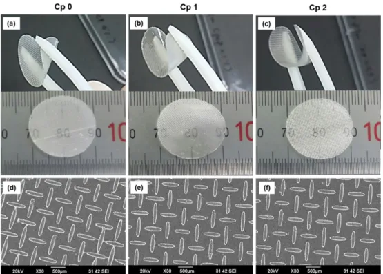 Fig. 2. Scanning electron micrographs of Cp 0 (CMC alone), Cp 1 and Cp 2 hydrogel films after cross-linking using gamma-irradiation
