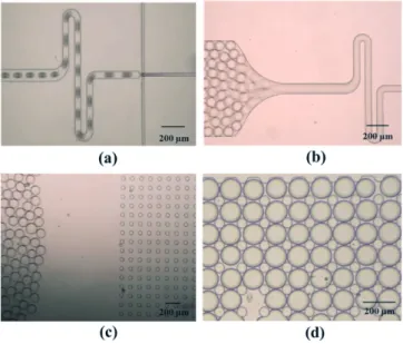 Fig. 1. Generation of microdroplets with (a), (b) flow-focusing struc- struc-ture of microchannel and (c) reinjection of microdroplets through polyethylene (PE) tubing