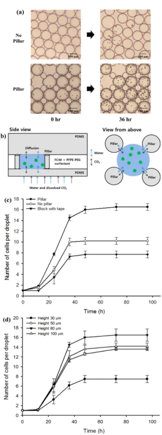 Fig. 2. Effect of micropillar arrays and height of microchambers on growth kinetics of C