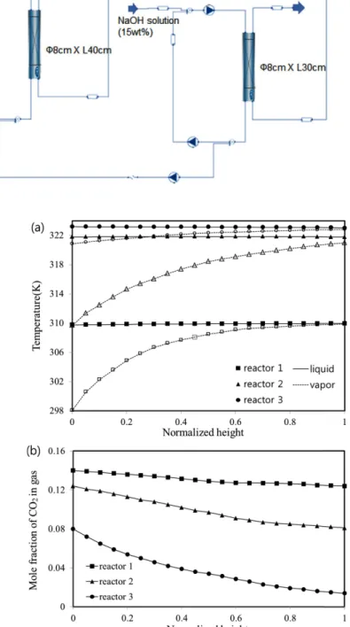 Fig. 7. Simulation result for the bench scale unit (2 kgCO 2 /day). (a) Temperature distribution in each reactor
