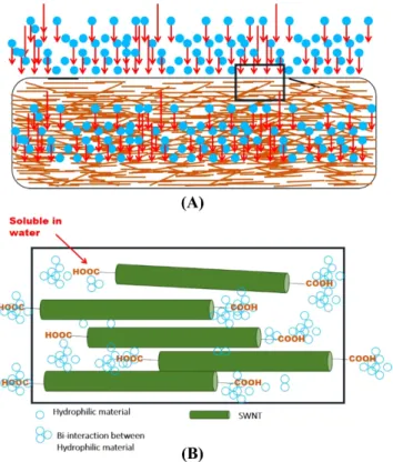 Fig. 2. Dropping polar solvent through the immobilized SWCNTs in a biosensor device (A) Scheme of penetrated polar solvent into the immobilized SWCNTs