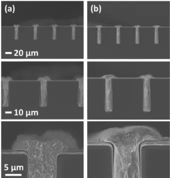 Fig. 9. Deposition profiles after the Cu electrodeposition by adding (a) SPS, suppressor and pyridine-based leveler both  con-taining amine groups