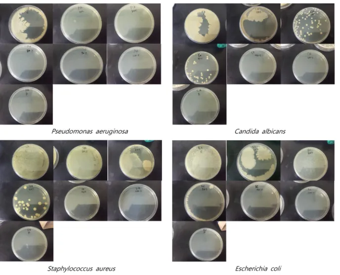 Fig. 2. Cell toxicity of natural extract including  Phellodendro namurense, Eucommia ulmides Oliv extracts by MTT assay.