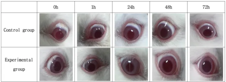 Fig. 4. Eye irritation test of natural extract including  Phellodendro namurense, Eucommia ulmides Oliv extracts.