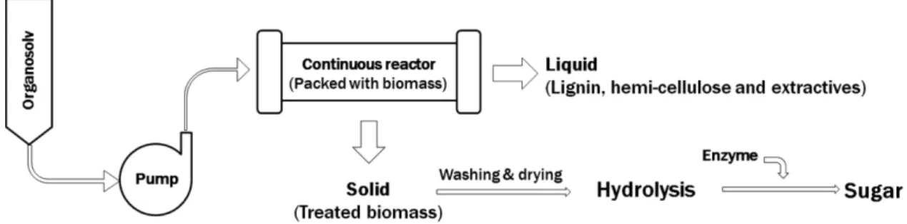 Fig. 1. Schematic diagram of flow-through pretreatment process.