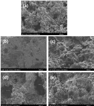 Fig. 4. Surface morphologies of the carbon foams produced from fluorinated MP, (a) CMPi, (b) CMPi-0.05F, (c) CMPi-0.1F, (d) CMPi-0.3F and (e) CMPi-0.5F.