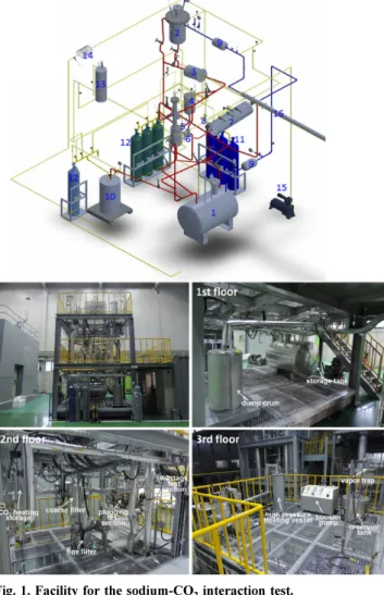 Fig. 1. Facility for the sodium-CO 2  interaction test.