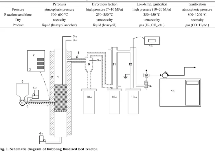 Fig. 1. Schematic diagram of bubbling fluidized bed reactor.