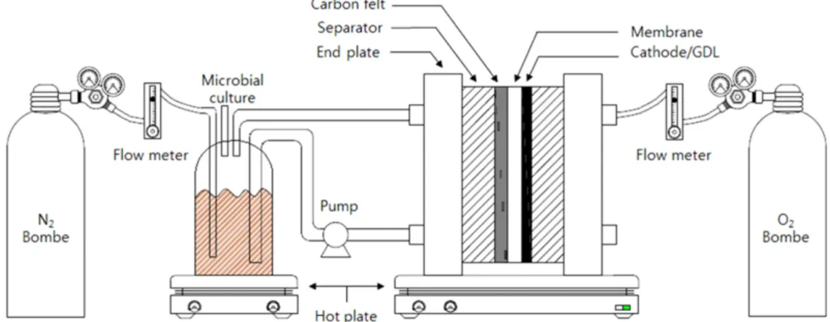 Fig. 1. Schematic diagram of microorganism fuel cell system.