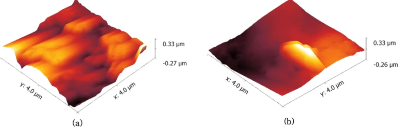 Fig. 7. 3D AFM images of the top surface of (a) TFC-EC and (b) TFC-EP substrates.