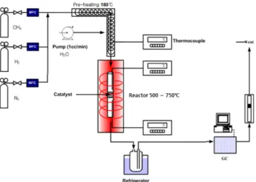 Fig. 1. The schematic diagram a fixed bed reactor and experimen- experimen-tal condition.