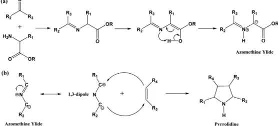 Fig. 1. Schematic illustration of (a) generation of azomethine ylide and (b) 1,3-dipolar cycloaddition of azomethine ylide.