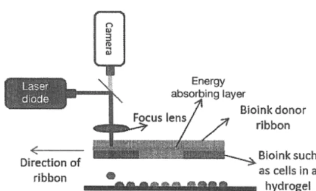 Fig. 3. Schematics of a laser-assisted bioprinting system [9].