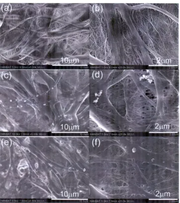 Fig. 4. Linear sweep voltammetry results of PAAK-KOH and PAAK- PAAK-KOH-SiO 2  hydrogel electrolytes coated on the separator.