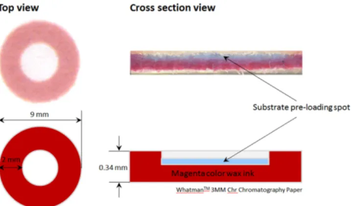 Fig. 1. Schematic of the paper-based neuraminidase assay sensor (PNAS). The PNAS sensor was simply designed as reservoir type