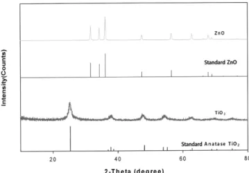 Fig. 1. XRD patterns of TiO 2  and ZnO powders prepared by hydrother- hydrother-mal synthesis.