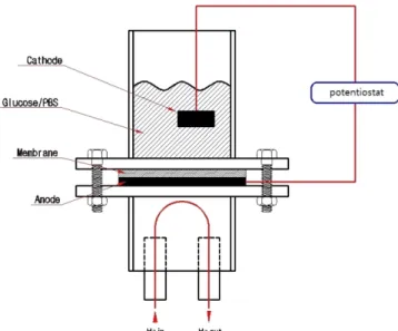 Fig. 1. Schematic diagram of enzyme fuel cell.