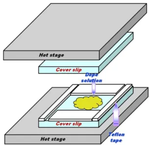 Fig. 1. Membrane preparation using two cover slips on a hot stage.