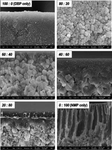 Fig. 6. Effect of DBP and NMP composition on the cross-section morphology at one side-contact mode with non-solvent.