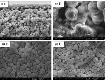 Fig. 8. Effect of cooling temperature on the structure of the membrane prepared from DBP/NMP=40/60 system (non-contact mode with non-solvent).