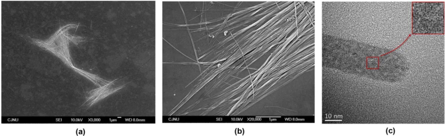 Fig. 2. SEM and TEM images of NWs synthesized at 5 o C. (a) SEM image (the bar length: 1 µm), (b) SEM image (the bar length: 1 µm), (c) TEM image (the bar length: 10 nm).