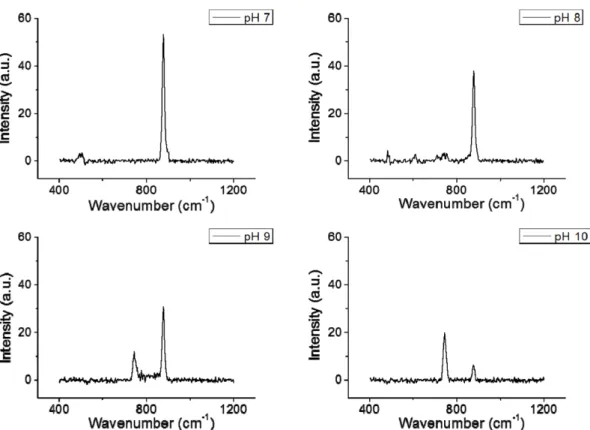Fig. 4. Raman spectra of pure B(OH) 3  in aqueous solution at pH=7, 8, 9 and 10.