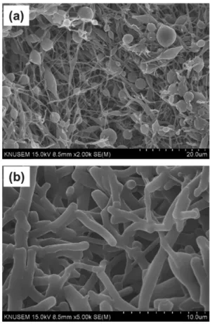 Fig. 5 shows the morphologies of solid particles obtained for 2 g PVP (Fig. 5(a)) and 3 g PVP (Fig
