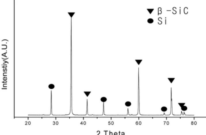 Fig. 1. X-ray diffraction spectra of porous SiC support.