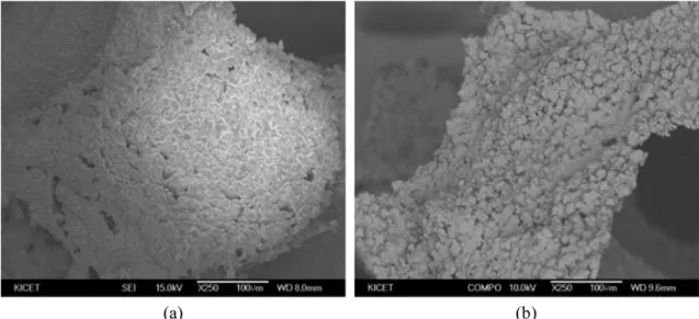 Fig. 2. SEM images of (a) SiC support and (b) ZSM-5 which was grown on SiC support at 150 o C.