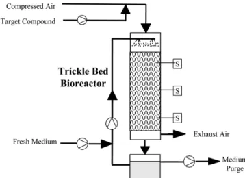 Fig. 1. Schematic diagram of biotricking filter.