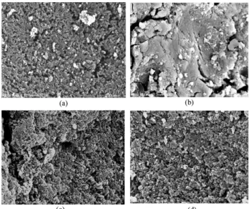 Fig. 2 shows the morphology of four samples: HP-2MG, T-0, T-50, and T-100. The image of surface of HP-2MG was similar to T-50 and