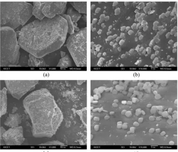 Fig. 8. High-magnification SEM images of ZSM-5 which were grown on (a) β-SiC and (b) α-SiC at 150 o C.