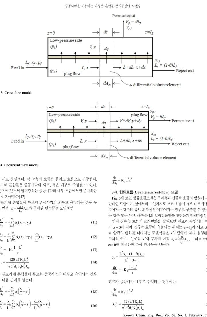 Fig. 4. Cocurrent flow model.