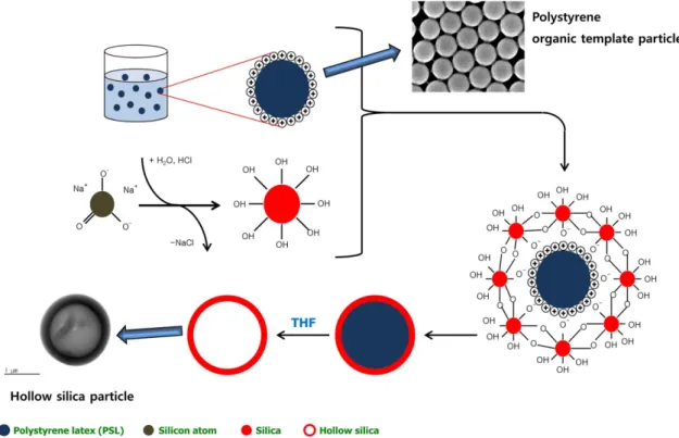 Fig. 1. Schematic diagram of hollow silica particle formation using sodium silicate and organic template by sol-gel reaction.