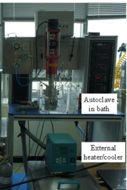 Fig. 1. Experimental apparatus including high-pressure autoclave
