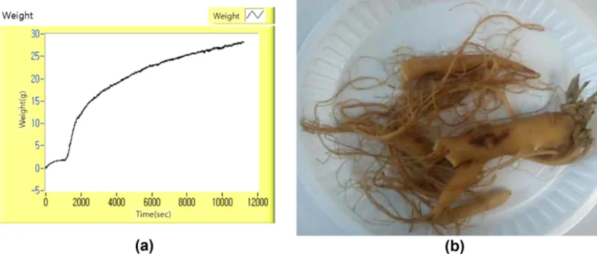 Fig. 5. Response of the ginseng weight under On/off weight control (a) and the steamed ginseng (b).