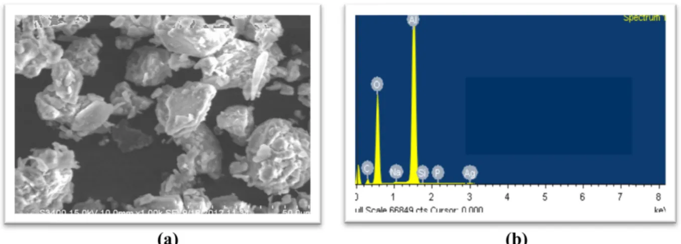 Fig. 5. (a) SEM Image of Activated Alumina and (b) Spectrum Image of Activated Alumina.