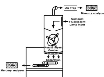 Fig. 3. The average concentration of mercury vapor with time at airflow rate of 1.0 L/min (CFL).