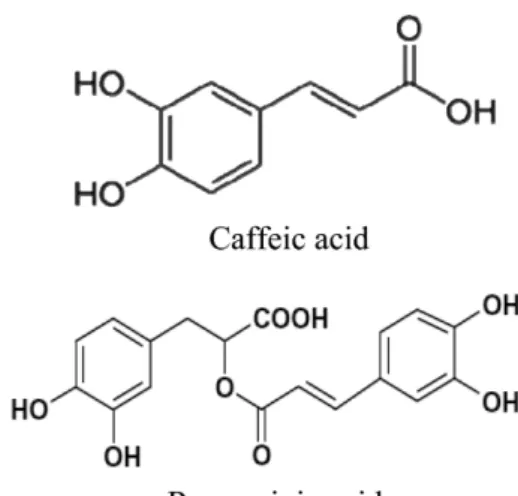 Fig. 1. Structure of target compounds.