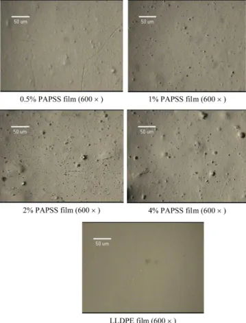 Fig. 2. SEM micrographs of the cross section of PAPSS impreg- impreg-nated films.