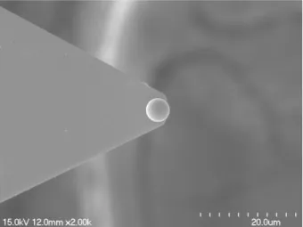 Fig. 1. Zirconium dioxide sphere-attached-cantilever.