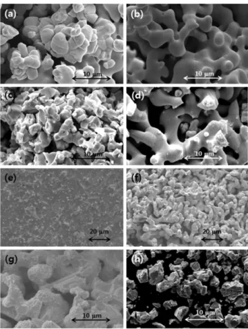 Table 3. Preparation conditions of porous pellets. Reprinted permission from ref 44. Copyright 2013 Elsevier