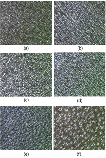 Fig. 2. Optical microscope images of PDLC lens device of the cell gap of 11 µm with the concentration of additional benzophenone from 0 wt% to 16 wt%: (a) 0 wt%, (b) 1 wt%, (c) 2 wt%, (d) 4 wt%, (e) 8 wt% and 16 wt%.