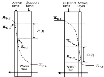 Fig. 1. Schematic representation of concentration polarization.