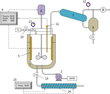 Fig. 1. Schematic diagram of the reaction system for the non-cata- non-cata-lytic esterification.