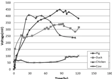 Fig. 2. Comparison of OCVs from microbial fuel cells using various livestock wastes.